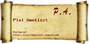 Plel Ametiszt névjegykártya